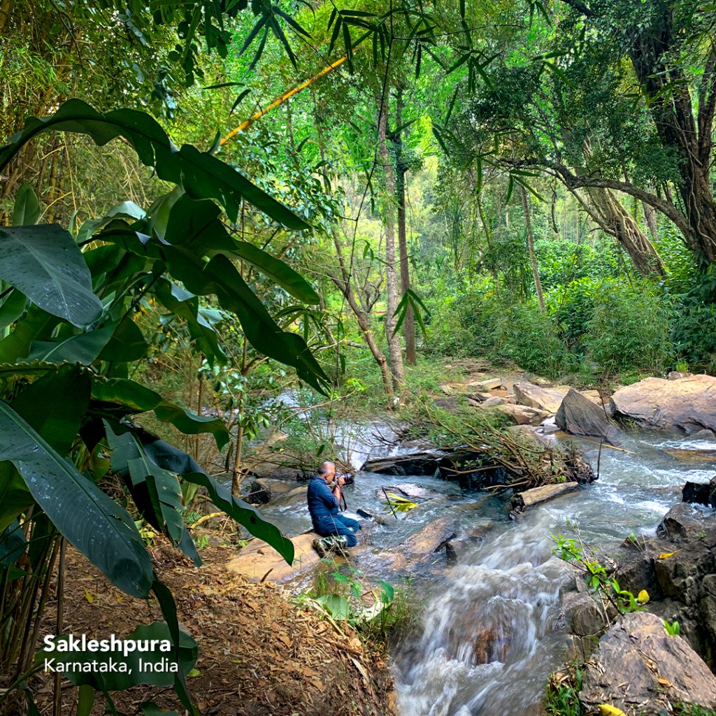 Sakleshpura Shot by Sudhir ramchandran image